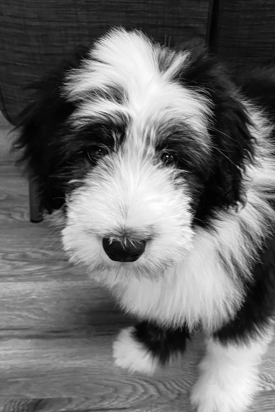 Ruby